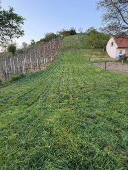 Sečení trávy Slavkov u Brna - 5