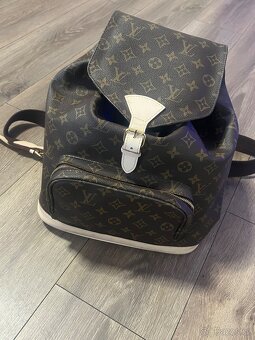 louis vuitton canavas bagpag - 5
