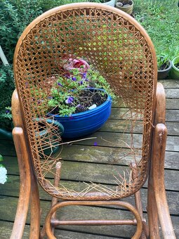 Houpací křeslo Thonet/TON č.10 - 5