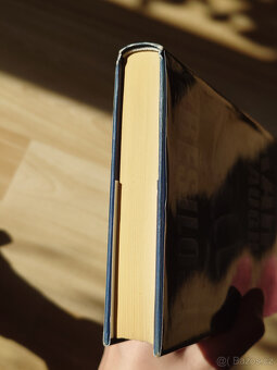 Zběsilost - Karin Slaughter - 5