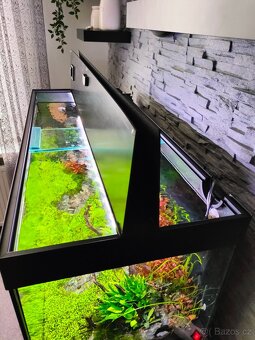 Akvarium Aquatlantis Volga 180 - 5