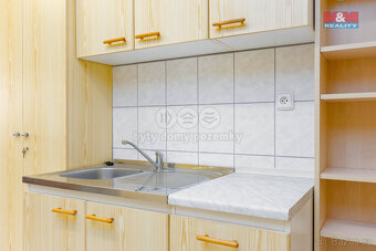 Pronájem kancelářského prostoru, 54 m2, Dolní Benešov - 5
