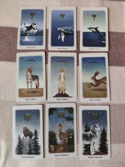Anima Mundi Tarot - 5