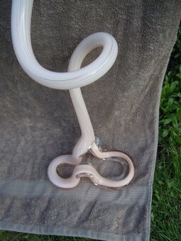 SKLENÉNÁ  VÁZA - 5