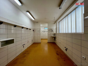 Pronájem obchod a služby, 130 m², Ústí nad Orlicí - 5