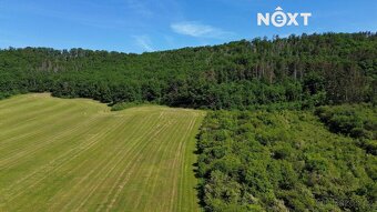 Prodej pozemek Lesy, 3149㎡ - 5