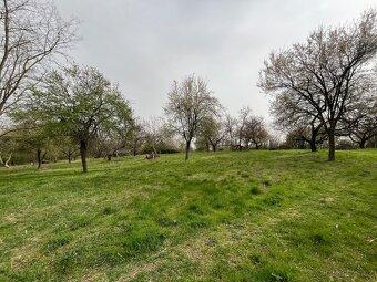 Sad a navazující les v Dolních Kounicích, celkem 12 899 m² - 5