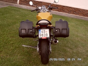 SUZUKI SV 650 - 5