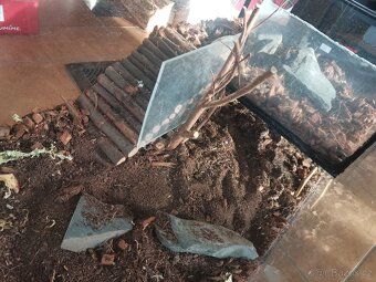 Terárium / akvárium / želvárium - 5