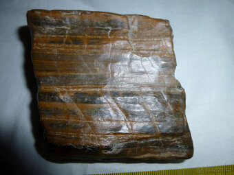 Minerál, nerost - zkamenělé dřevo - 5