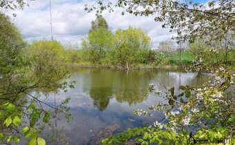 Prodej rybníku – vodní plochy, 12 045 m², Krásensko (Vyškov) - 5