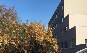 krásný byt 1+kk 35m2 v ul. Křížová, Praha - Smíchov - 5
