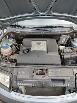 Fabia - 5