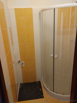 Prodej bytu 1+1, 35m2, Králův Dvůr, os. vlastnictví - 5