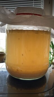Kombucha TIBI Tibetská houba GPB zázvorové pivo kvásek - 5