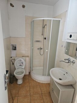 Pronájem bytu 2+1, 71m2 ul. Cimburkova. Praha - Žižkov - 5
