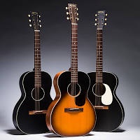 Akustické a el. ak. kytary a ukulele Sigma, LAG, Takamine 12 - 5