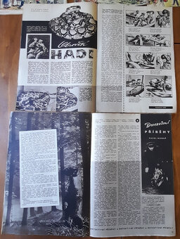 Pionýr kompletní ročník VI. /1959 - 5