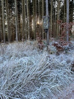 Krmny automat Hunter II - 5