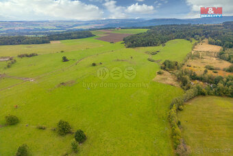 Prodej louky, 4266 m², Spálené Poříčí - 5