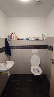 Nabízím pronájem prostorného bytu s lodžií v Jičíně - 5