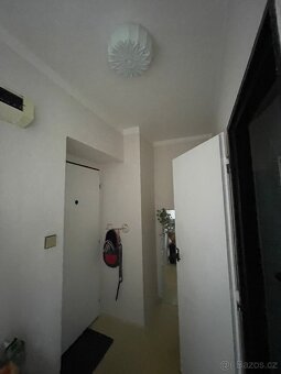 Pronájem bytu 1+1 42 m², Pecháčkova, 318 00 Plzeň-Skvrňany - 5