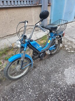 Babetta - 5