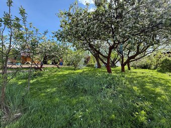 🌿 RAJSKÁ ZAHRADA NA OKRAJI ŠUMPERKA 🌳 - 5