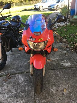 Honda VTR 1000 F - 5