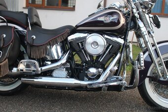 Harley-Davidson 1998 FLSTS Heritage Springer 95thAnniversary - 5