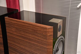 Focal Chorus 836V - 5