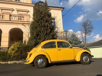 VW BROUK SUNNY BUG - 5