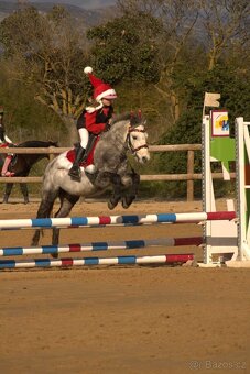 Sportovnich pony vel S - pro nejmenší děti - 5