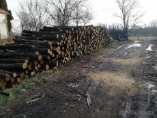 Predám agátové stlpy-koly, žrde, ohradníky. Doprava celá SR. - 5