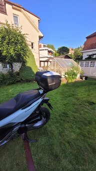 Honda forza 300 - 5