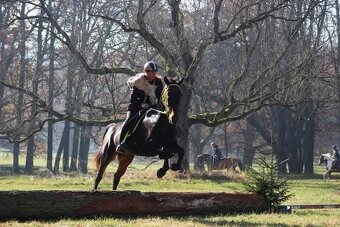 Pohodový valach - 5