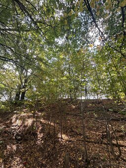 Prodej pozemku 637 m² – Otovice - 5