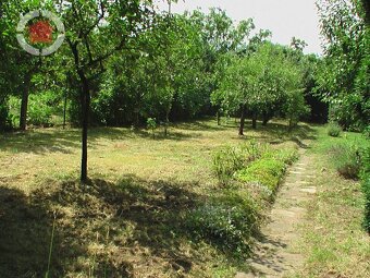 Prodej vily se třemi bytovými jednotkami ve Veselí nad Morav - 5