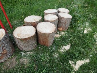 Prodám palivové dřevo - 5
