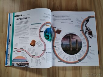 Velké dějiny: Od velkého třesku po současnost - 5