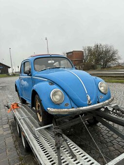 VW Brouk - Faltdach - 5