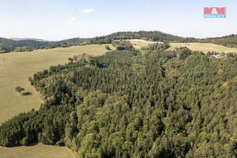 Prodej lesa, 8743 m², Valašská Senice - 5