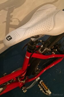Favorit Modus SX 26" - 5