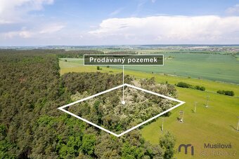 Prodej pole a lesa 84 910 m2 - 5