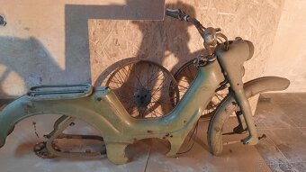 Jawetta 551 - 5