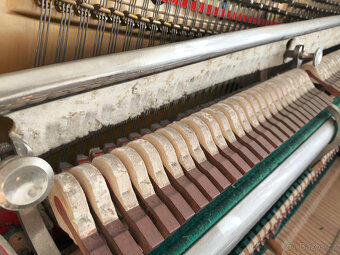 Piano DALIBOR - 5