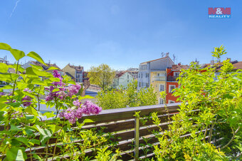 Prodej bytu 3+kk, 93 m², Plzeň, ul. Lipová - 5