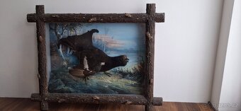 Půlvycpavky ptáků -ptaci v obrazech - 5