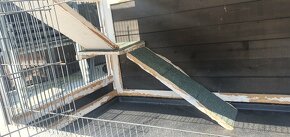 Patrová králíkárna - 5