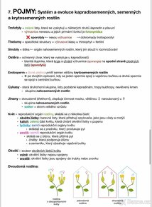 Učebnice + maturitní otázky + maturitní četba - 5